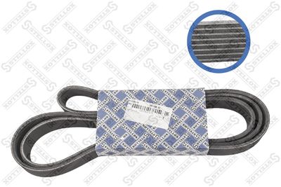 V-ribbed Belt STELLOX 08-01988-SX
