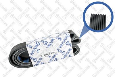 V-ribbed Belt STELLOX 09-01890-SX
