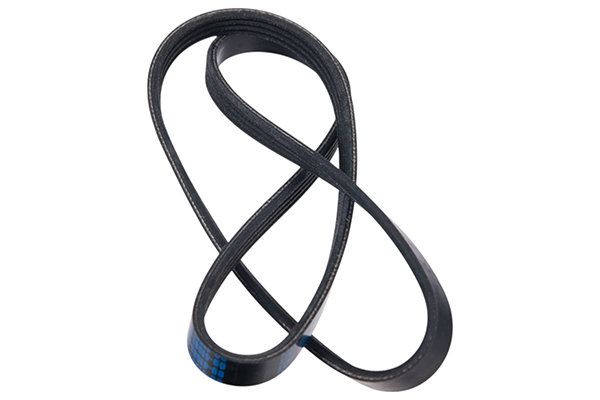 STELLOX 09-41583-SX V-ribbed Belt