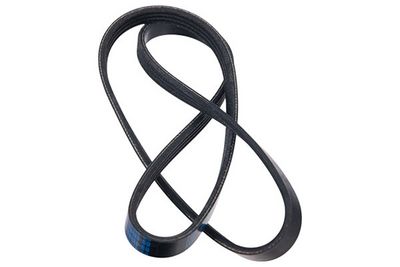 V-ribbed Belt STELLOX 09-41583-SX