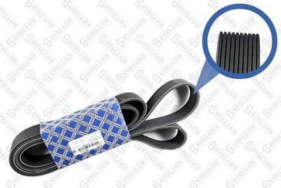 V-Ribbed Belt STELLOX 10-02475-SX