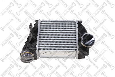 Charge Air Cooler STELLOX 10-40239-SX