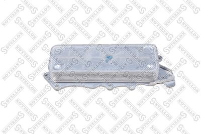Oil Cooler, engine oil STELLOX 10-73020-SX