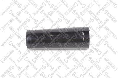 Protective Cap/Bellow, shock absorber STELLOX 11-17034-SX