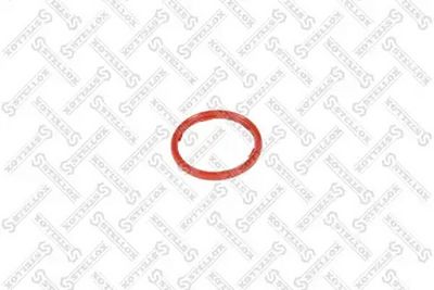 Seal Ring, engine oil level sensor STELLOX 11-25468-SX