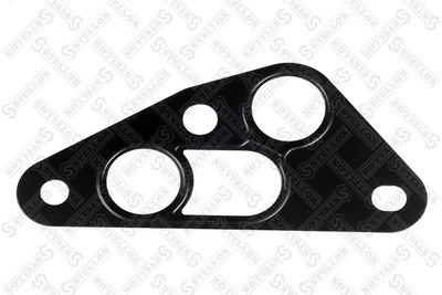 Gasket, oil cooler STELLOX 11-25756-SX