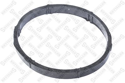 Gasket, intake manifold STELLOX 11-26002-SX