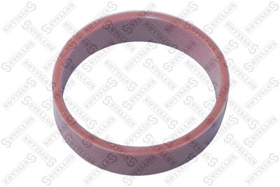 Gasket, intake manifold STELLOX 11-26009-SX