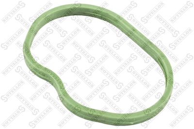 Gasket, intake manifold STELLOX 11-26030-SX