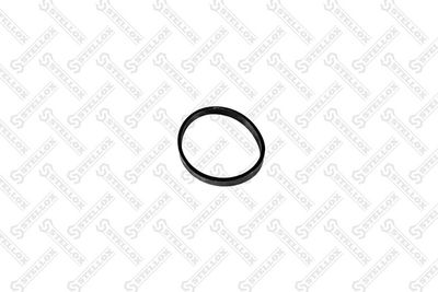 Gasket, intake manifold STELLOX 11-26040-SX