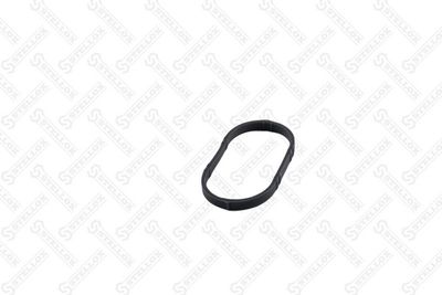 Gasket, intake manifold STELLOX 11-26075-SX