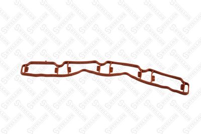 Gasket, intake manifold STELLOX 11-26084-SX