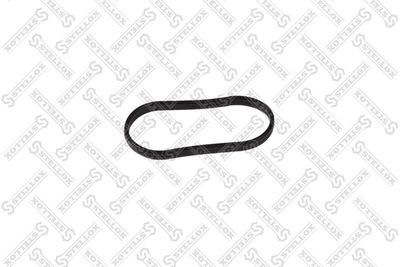 Gasket, intake manifold STELLOX 11-26131-SX