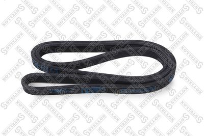 V-Ribbed Belt STELLOX 16-01817-SX