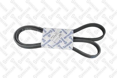 V-ribbed Belt STELLOX 16-01825-SX