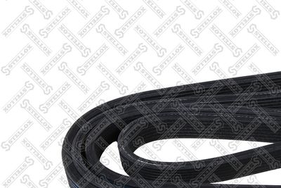 V-Ribbed Belt STELLOX 17-02074-SX