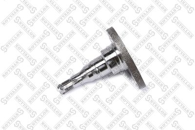 Wheel Hub STELLOX 42-15112-SX
