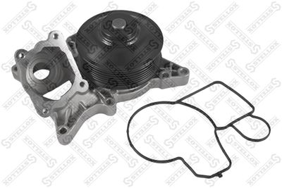 Water Pump, engine cooling STELLOX 4500-0317-SX