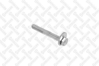 Camber Correction Screw STELLOX 79-01100-SX