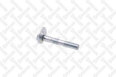 Camber Correction Screw STELLOX 79-01102-SX