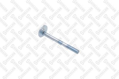 Camber Correction Screw STELLOX 79-01111-SX