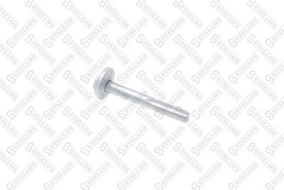 Camber Correction Screw STELLOX 79-01112-SX