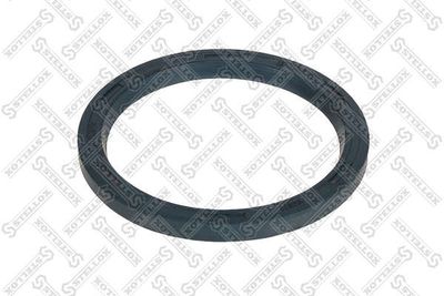 Seal Ring, spring bush (spring eye) STELLOX 81-01128-SX
