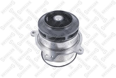 Water Pump, engine cooling STELLOX 81-04145-SX