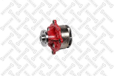 Water Pump, engine cooling STELLOX 81-04243-SX