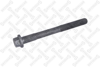 Cylinder Head Bolt STELLOX 81-09010-SX