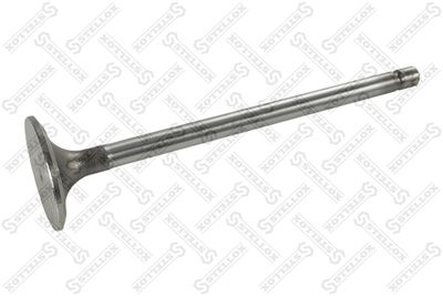 Intake Valve STELLOX 81-24648-SX
