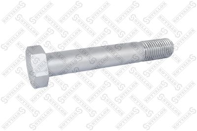 Screw STELLOX 84-43906-SX