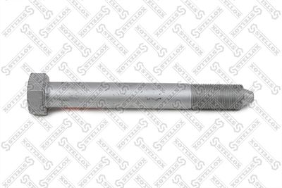 Screw STELLOX 84-43924-SX