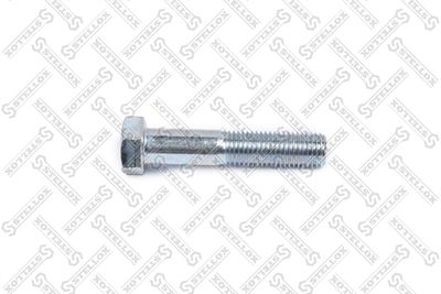 Screw STELLOX 84-43932-SX