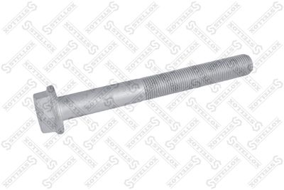 Screw STELLOX 84-43952-SX