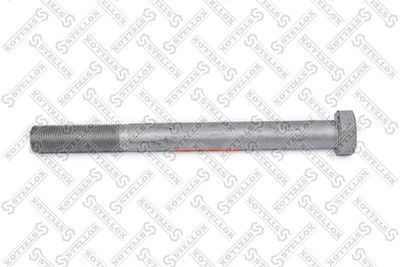 Screw STELLOX 84-43956-SX