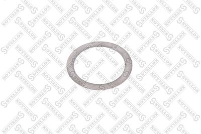 Washer STELLOX 84-55079-SX