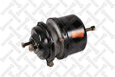 Spring-loaded Cylinder STELLOX 85-00521-SX