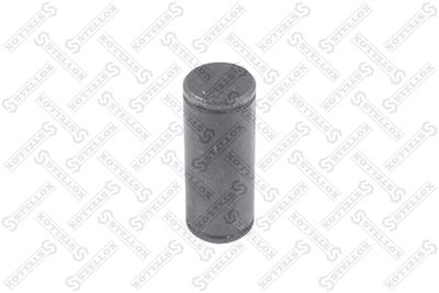 Brake Shoe Bolt STELLOX 85-06020-SX
