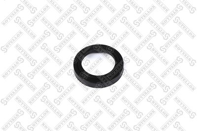 Seal Ring, brake shoe pulley STELLOX 85-09517-SX