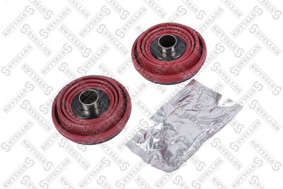 Repair Kit, brake caliper STELLOX 85-10800-SX