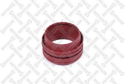 Repair Kit, brake caliper STELLOX 85-11119-SX