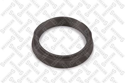 Nut, kingpin STELLOX 85-13245-SX