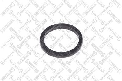 Seal Ring, water pump STELLOX 89-01073-SX