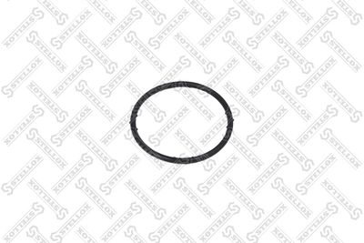 Gasket, coolant flange STELLOX 89-01164-SX