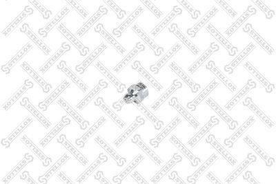 Grease Nipple STELLOX 89-17033-SX