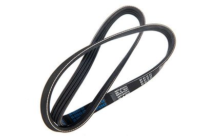 V-ribbed Belt STELLOX 94-00942-SX