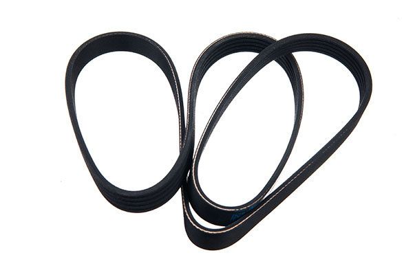 STELLOX 95-01334-SX V-ribbed Belt