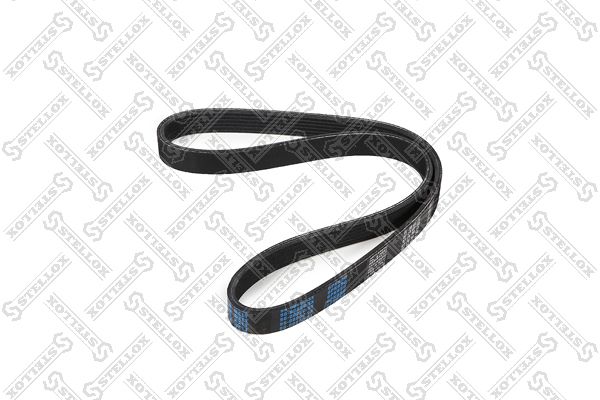 STELLOX 96-00850-SX V-ribbed Belt