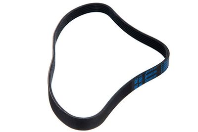 V-ribbed Belt STELLOX 96-00955-SX
